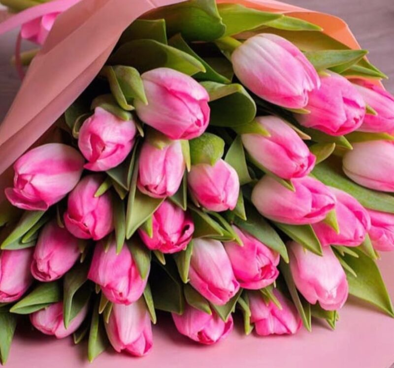 Букет нежно розовых тюльпанов